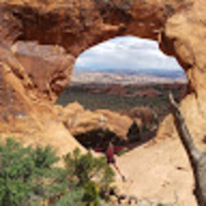 Meet your Posher, Monica